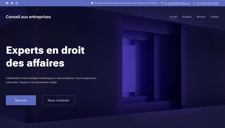 Modèle : Conseiller en affaires