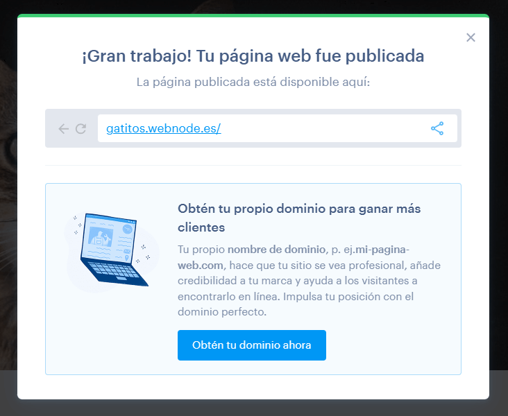 Ejemplo de un subdominio Webnode online, justo después de publicar la web gratuita