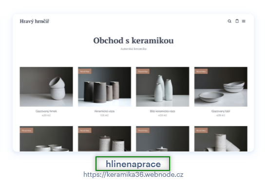 Rozdíl mezi názvem webu a projektovou subdoménou