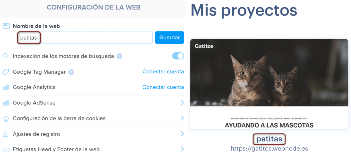 Nombre de la web en el editor de Webnode
