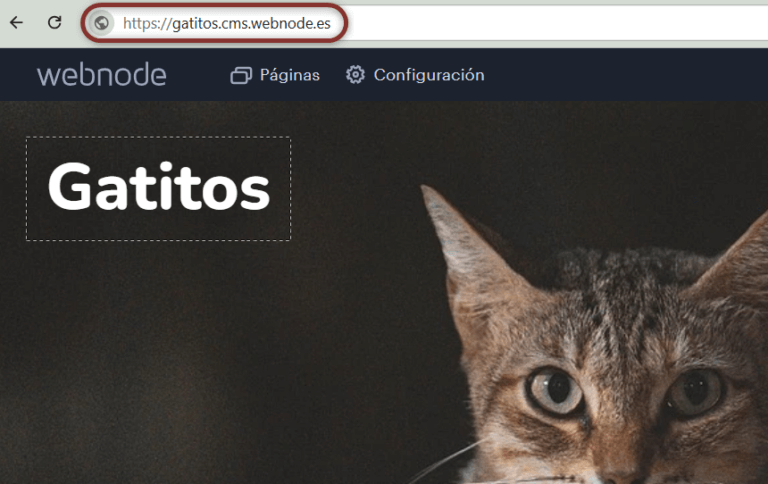 Presencia del subdominio en el editor de Webnode (CMS)