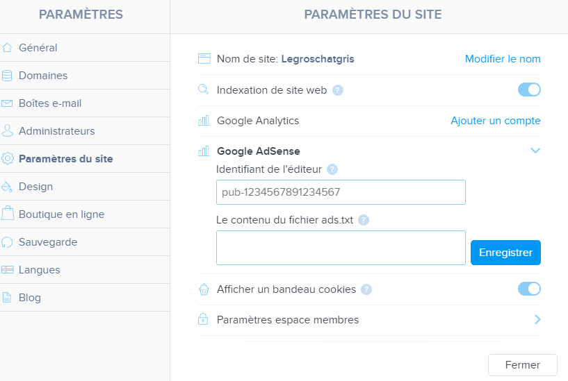 Google AdSense paramètres